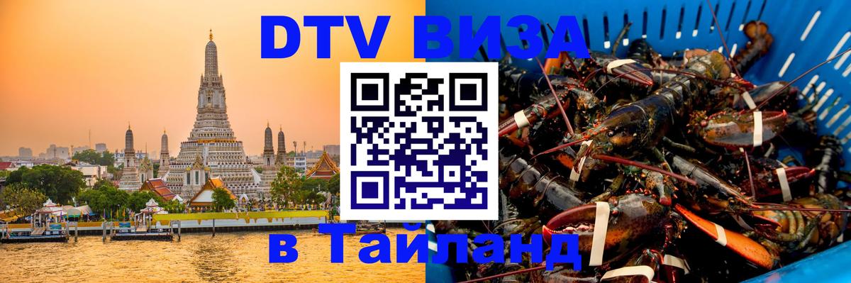 Оформление DTV визы под ключ: стоимость и тарифы, только загранпаспорт - Михайловск 